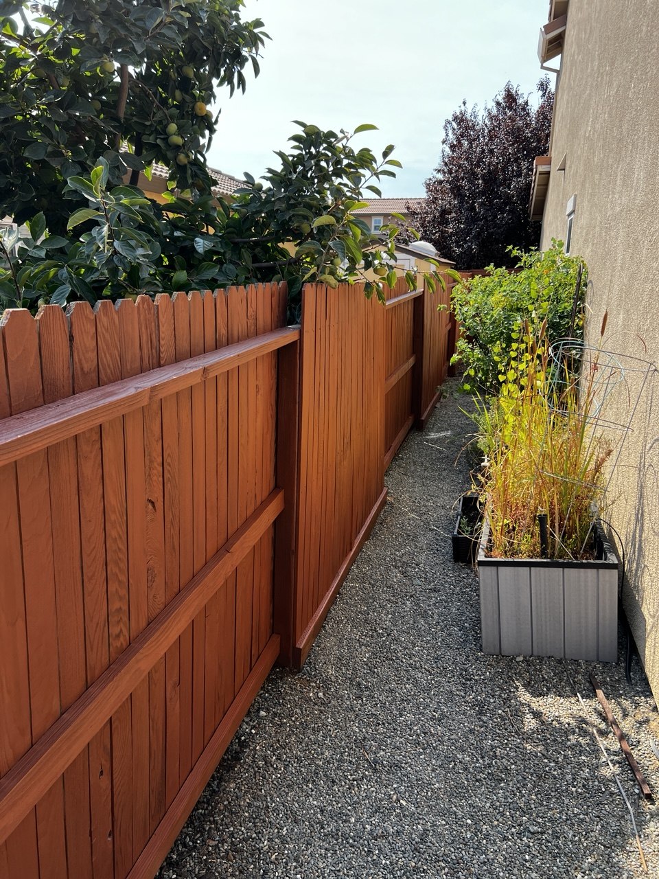 Fence staining